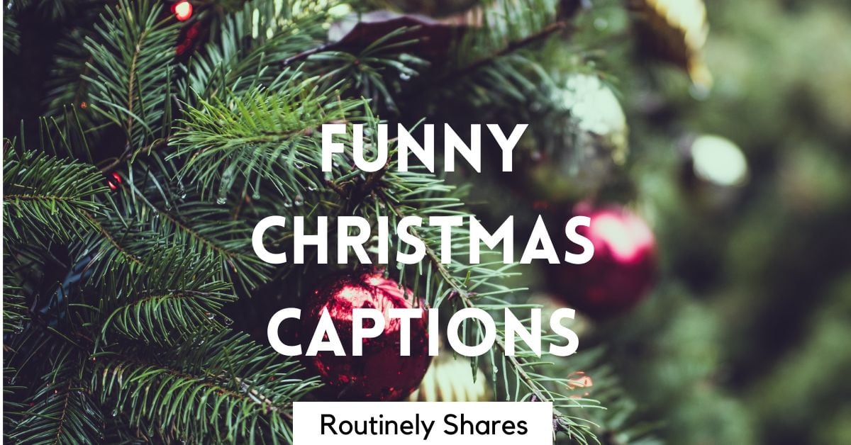 150 Funny Christmas Captions to Add Humor to the Holidays Routinely