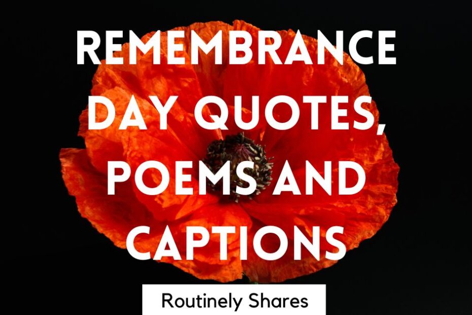 The words Remebrance Day quotes, poems and captions