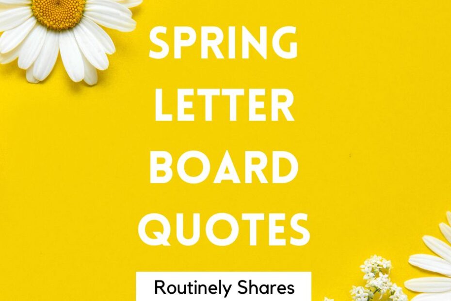 Daisies with the words spring letter board quotes and sayings
