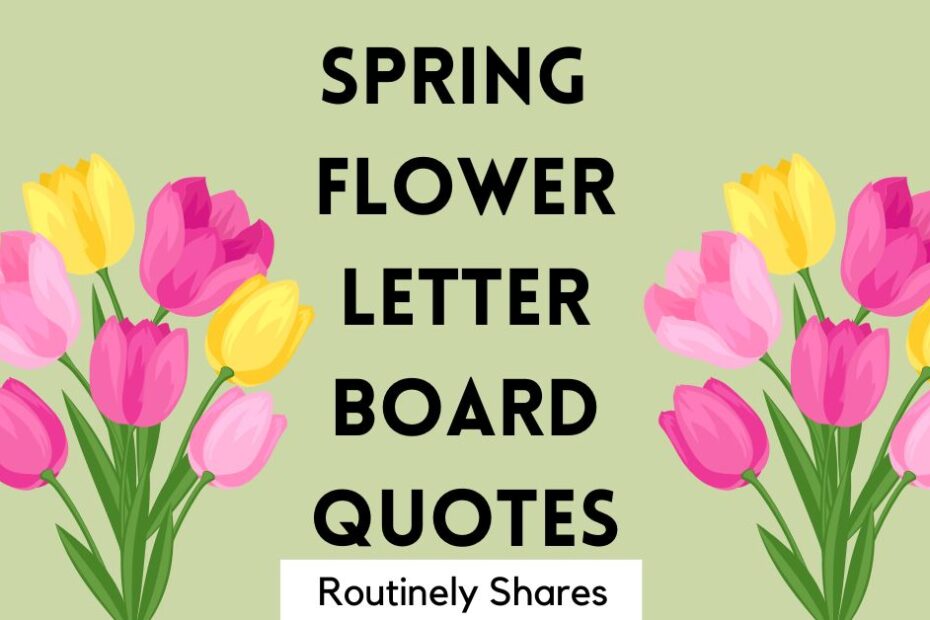 Spring Flower letter board quotes and captions