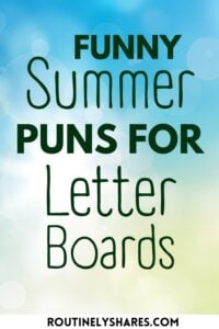 The words funny summer puns for letter boards