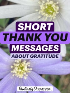 The words short thank you messages about gratitude