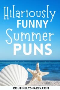 Funny Summer puns