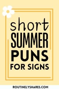 summer puns