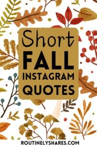Short fall Instagram quotes