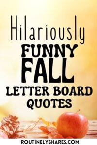 Hilariously funny fall letter board quotes