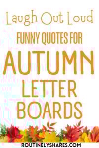 Funny Autumn letter board quotes