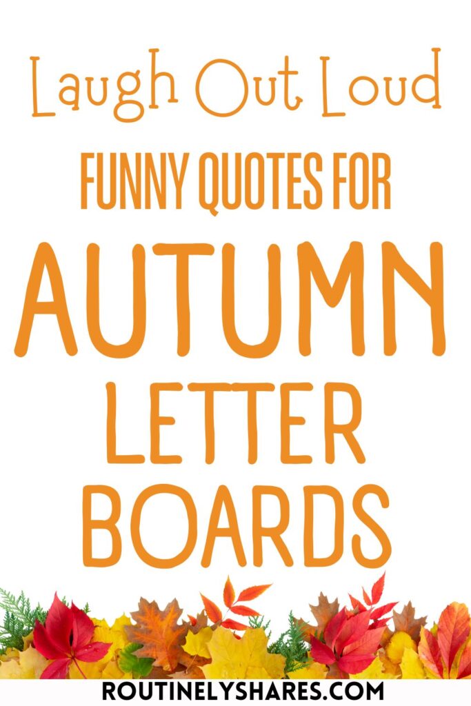 Funny Fall Letter Board Quotes and Sayings to Add Autumn Humor ...