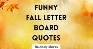 Funny fall letter board quotes
