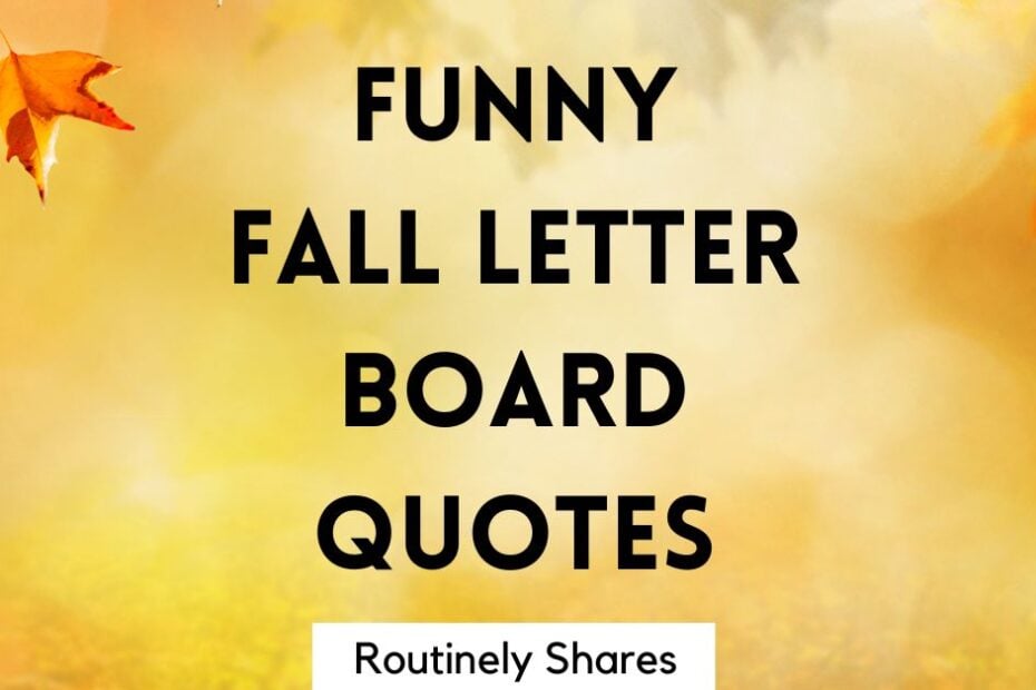 Funny fall letter board quotes