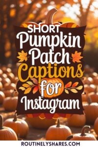pumpkin patch captions for Instagram