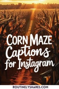 Corn maze captions for Instagram