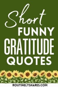 Funny Gratitude quotes