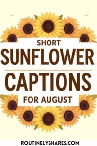 Short sunflower captions