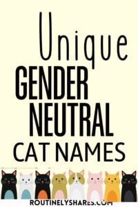 gender neutral cat names