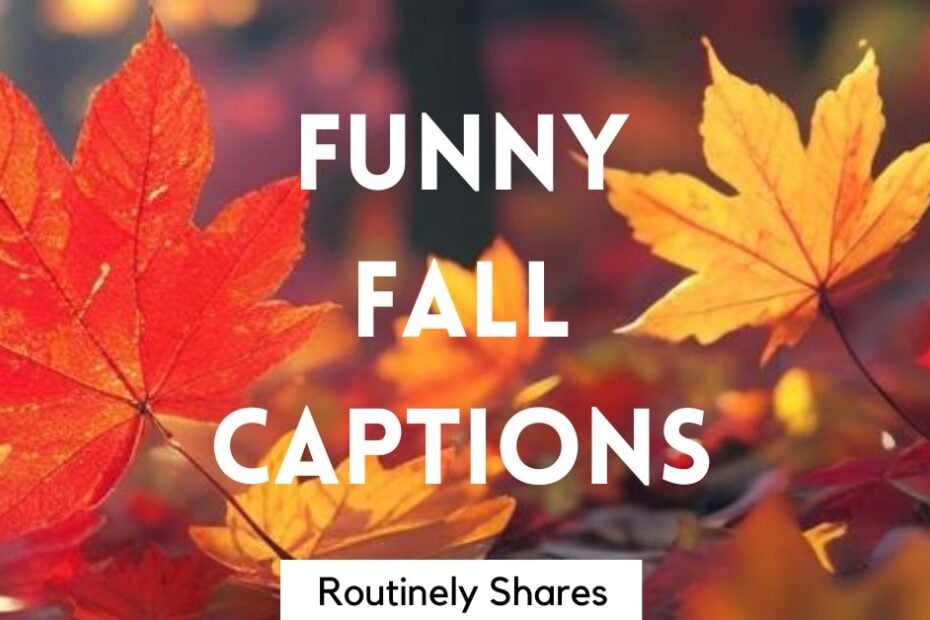Funny fall captions
