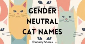 Gender neutral cat names