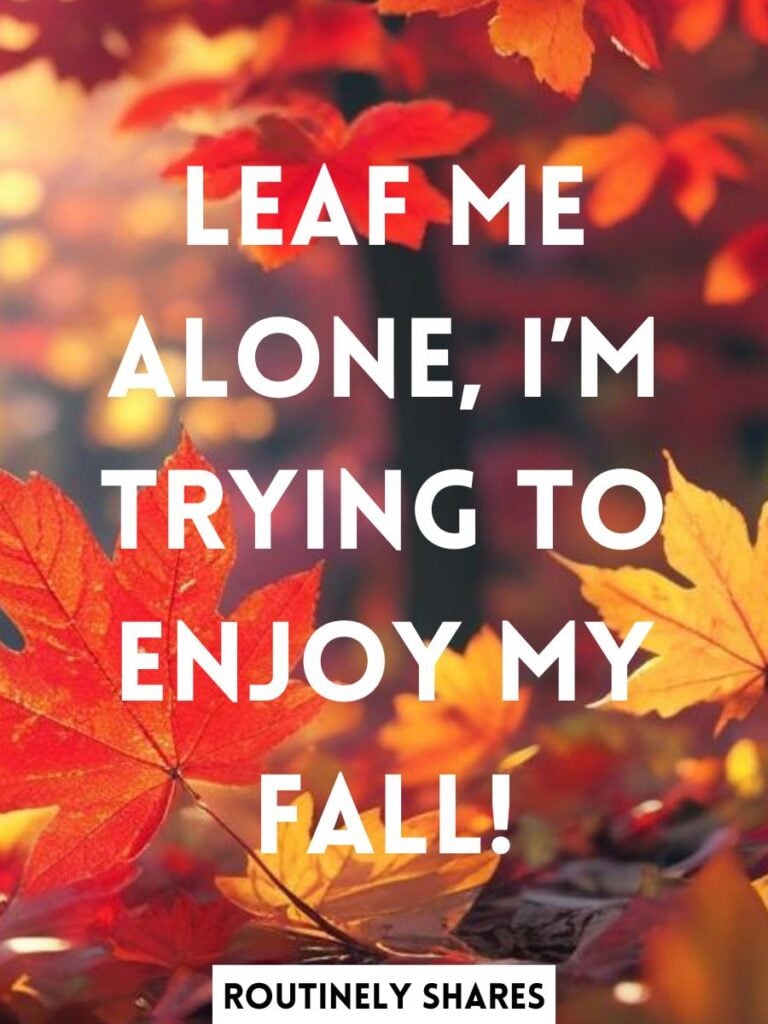 Hilarious fall captions puns