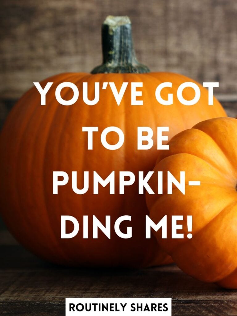 Short Funny Pumpkin Captions