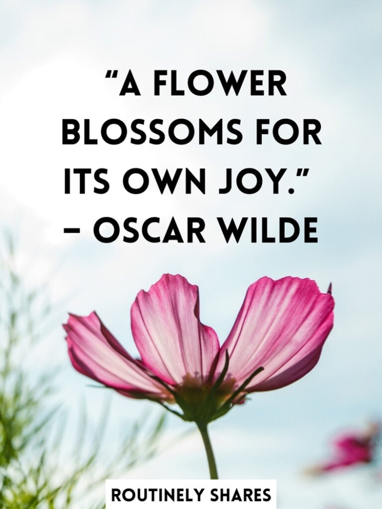 short uplifting quotes bloom