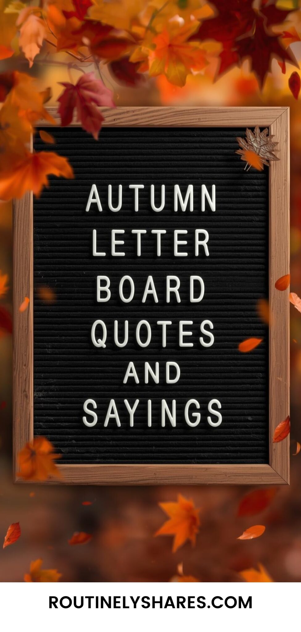 145 Fall Letter Board Quotes, Sayings and Ideas for that Autumn ...