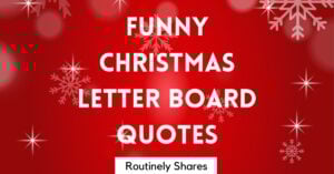 Funny Christmas Letter Board Quotes and Sayings