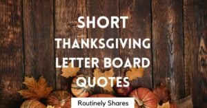 Short Thanksgiving letter board quotes and sayings