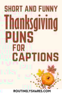 Short funny Thanksgiving puns