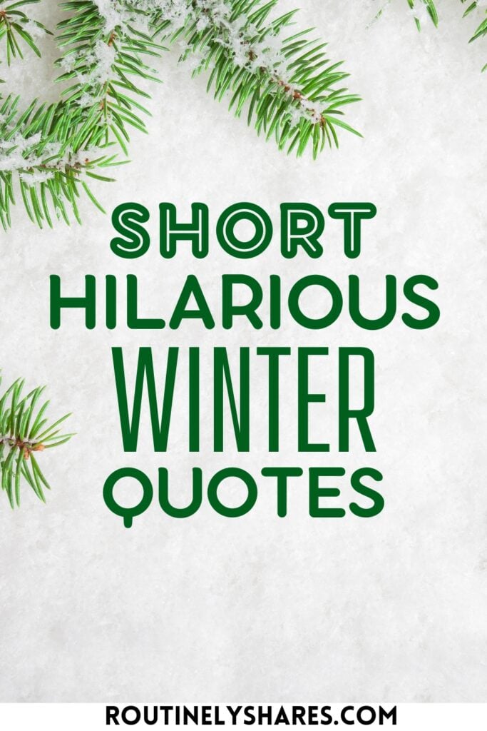 Short Funny Winter Quotes