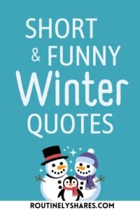 Short Funny Winter Quotes