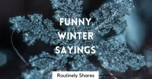 funny winter sayings