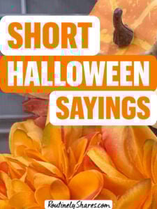 Short Halloween sayings