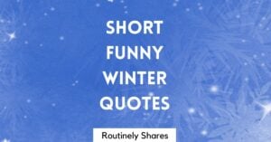 Short Funny Winter Quotes