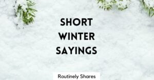 Short Winter Sayings