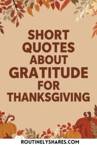 short gratitude quotes