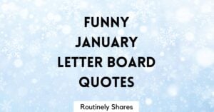 Funny January Letter Board Quotes and Sayings
