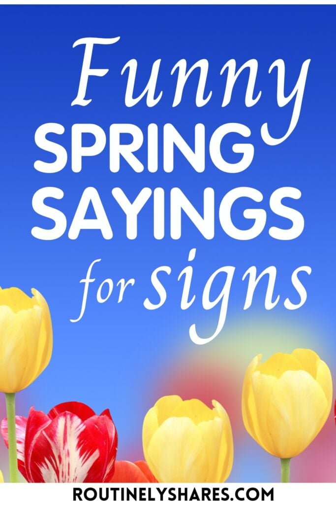Funny Spring Sayings
