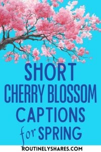 cherry blossom captions
