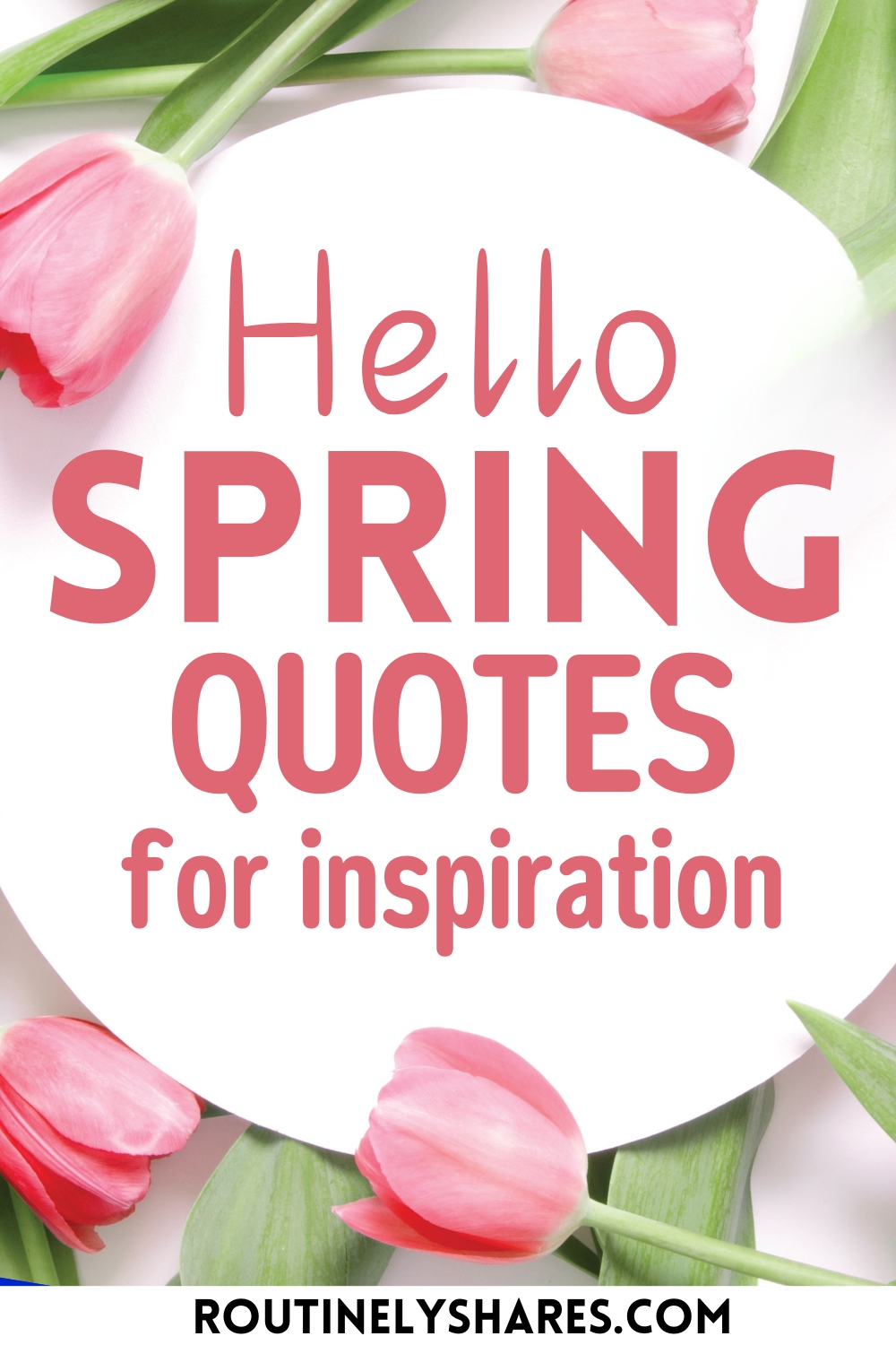 Inspirational Spring Quotes and Sayings for Beautiful Beginnings ...