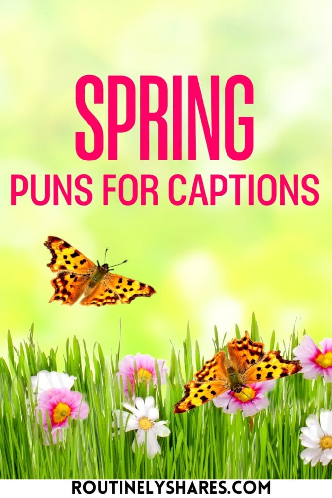 funny spring puns for captions