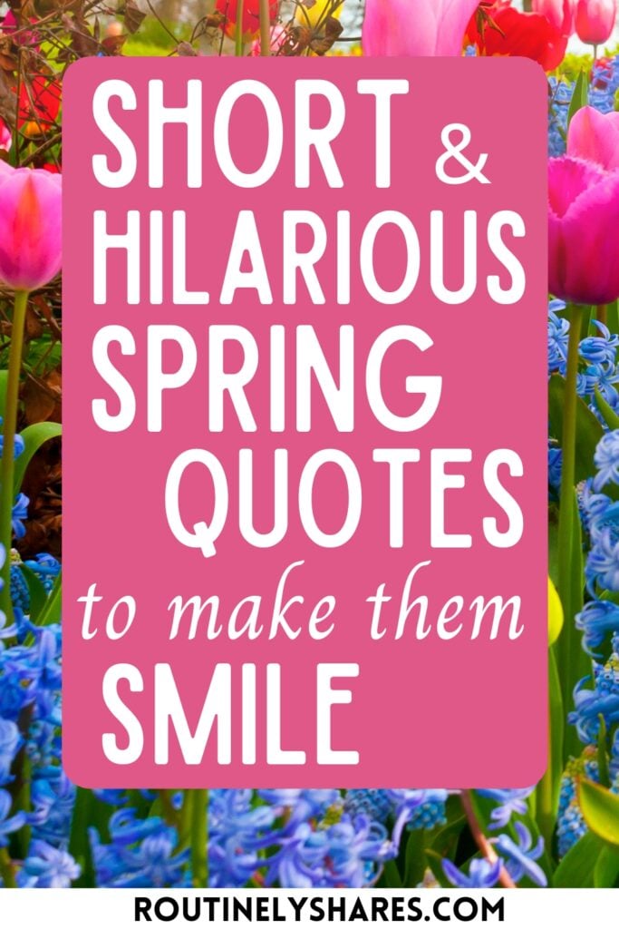 Short funny spring quotes