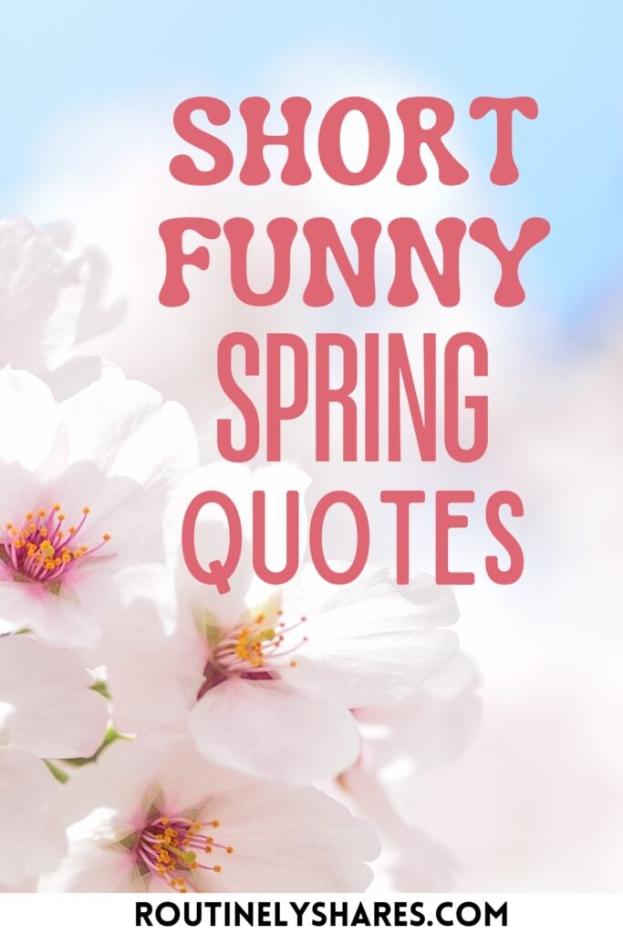 Short funny spring quotes