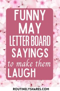 Funny May letter board quotes and sayings