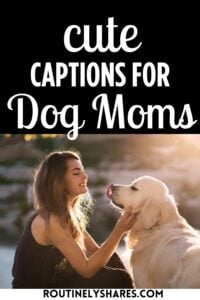 dog mom captions