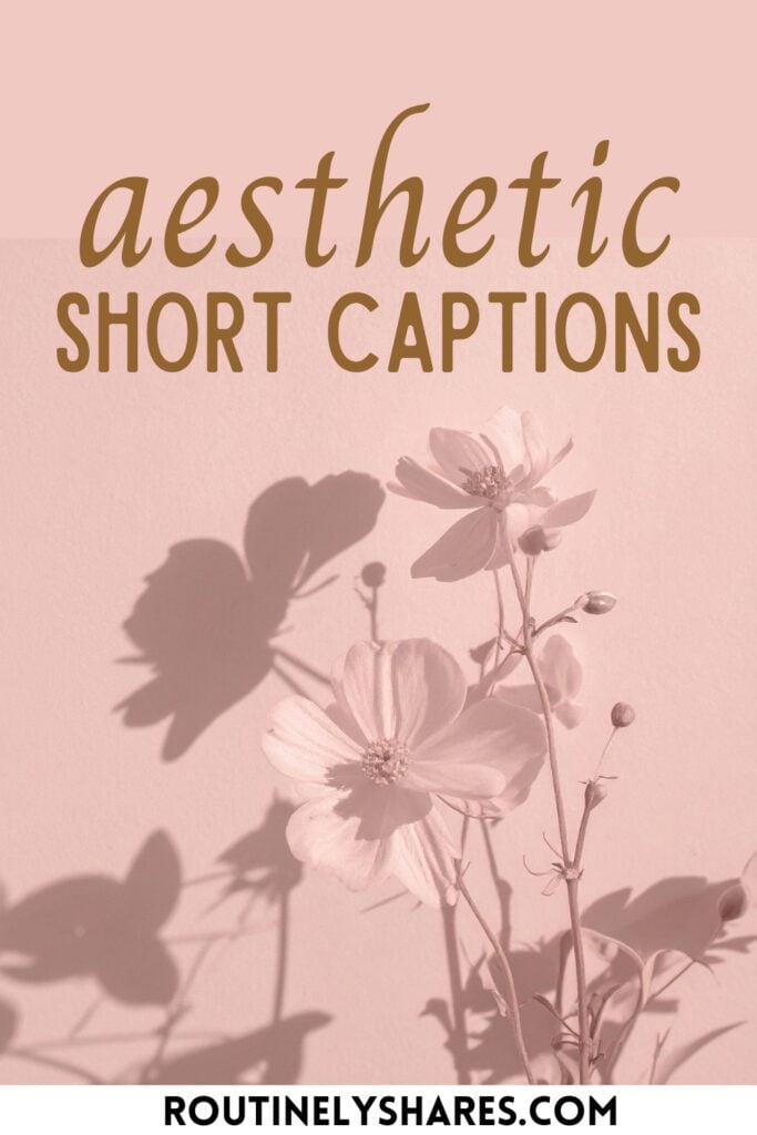 Short Aesthetic captions for Instagram