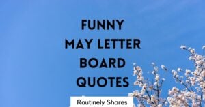 Funny May letter board quotes and sayings
