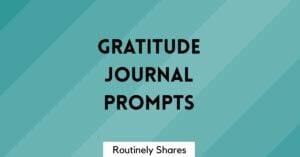 Gratitude journal prompts
