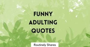 Funny adulting quotes