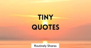 tiny quotes