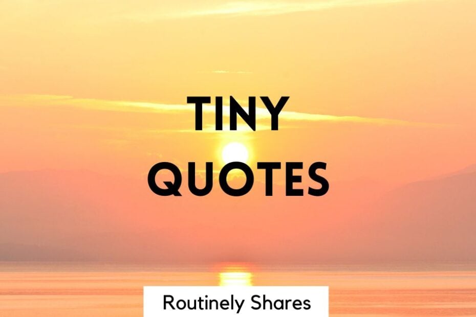 tiny quotes